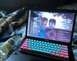 3916x3104