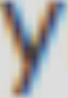 311x448