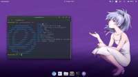 1366x768