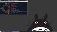 1366x768