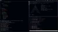 1366x768