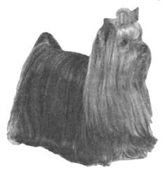 400x425