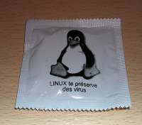 500x441