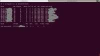 1366x768