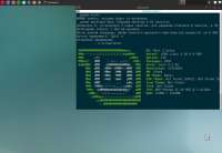 1242x859