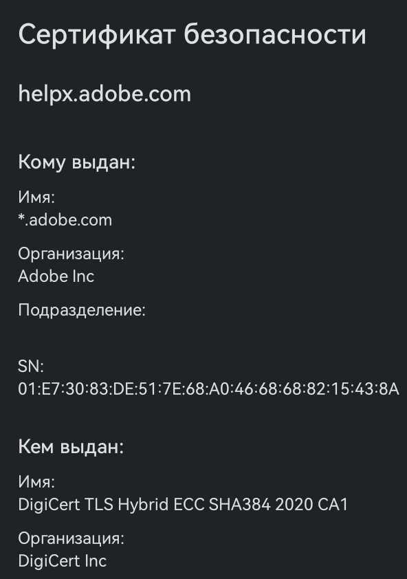 592x842