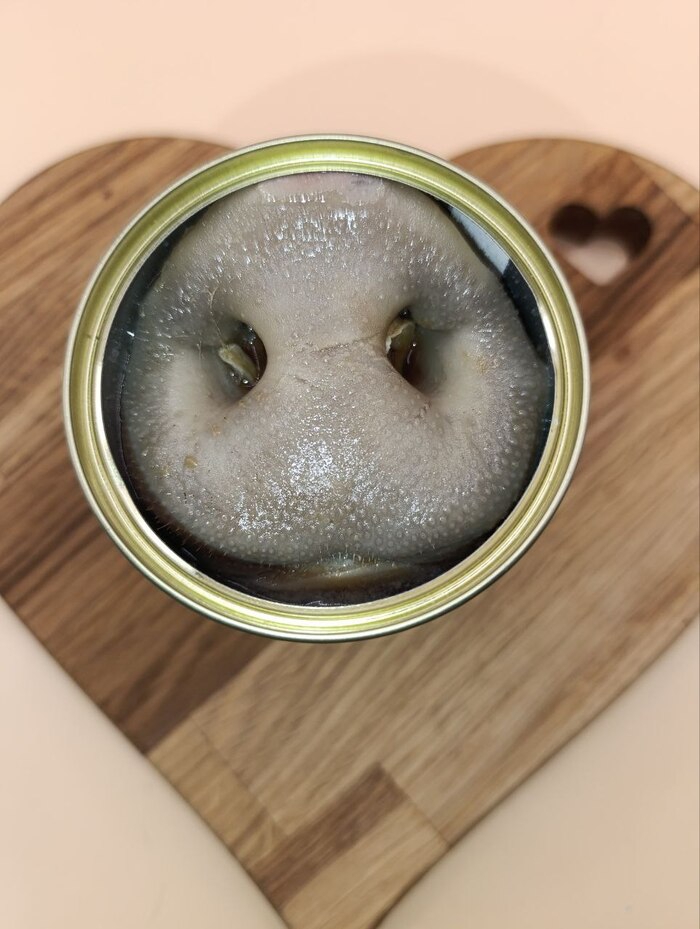 700x929
