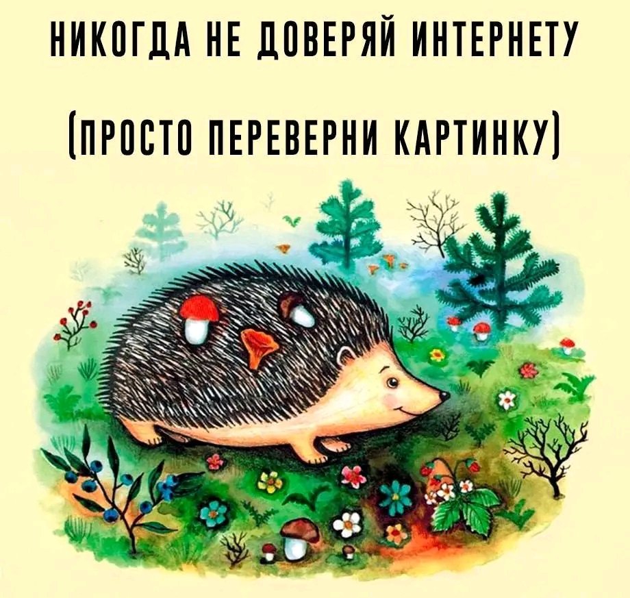 920x873