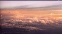 1366x768