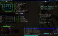 1280x800