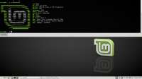 1366x768