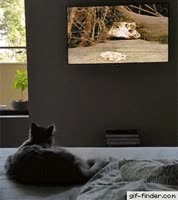 268x300