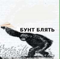 350x348