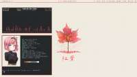 1366x768