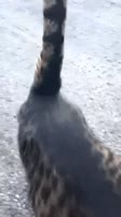 320x568