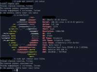 628x470