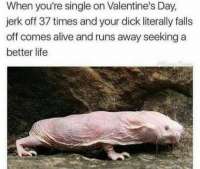 460x389