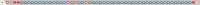 1007x29