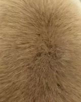 600x750