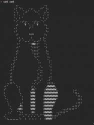 436x577
