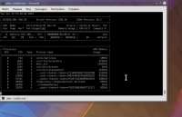 1192x772