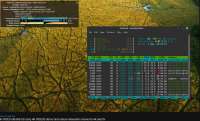 1277x773