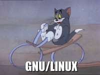 720x544