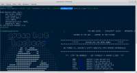 1366x737