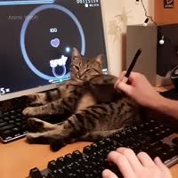 720x720