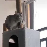 360x360