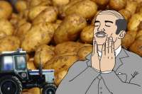 54