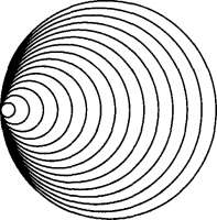 506x512