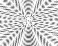 407x324