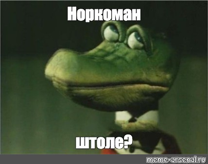 428x338