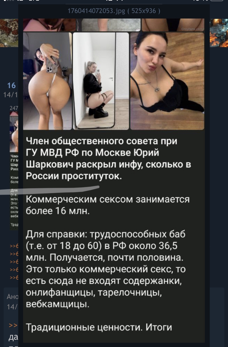750x1142