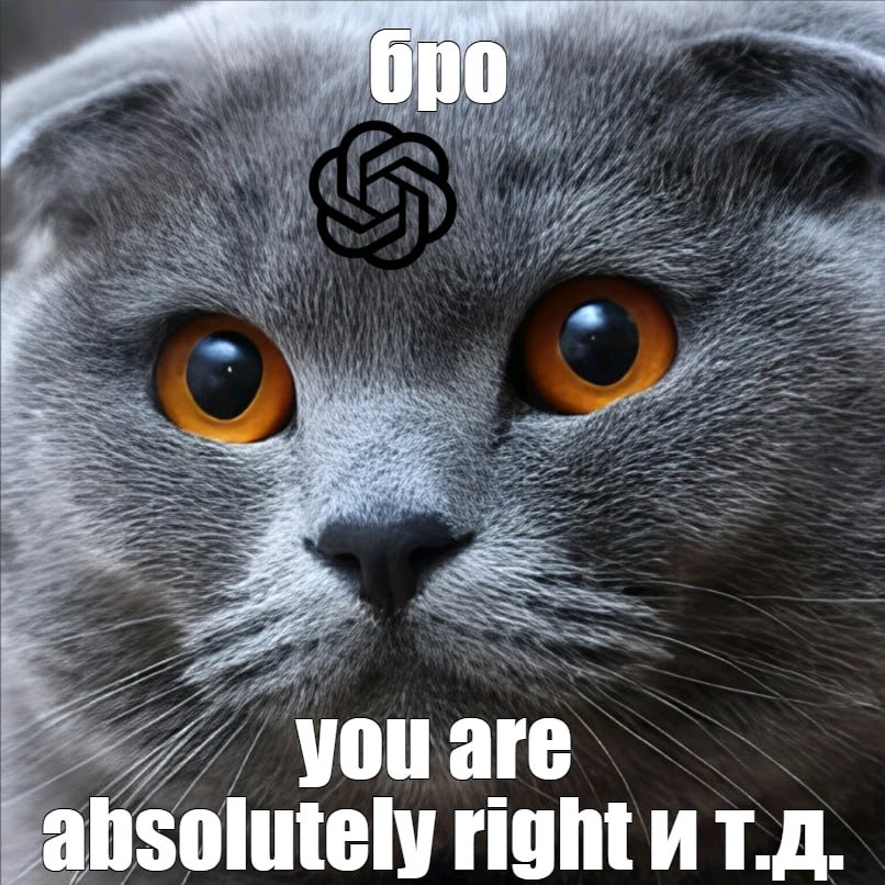 806x806