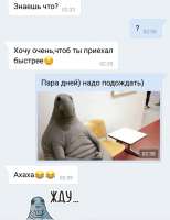 540x700