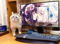 1024x756