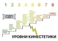 1280x905