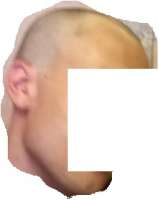 223x279
