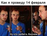 559x433
