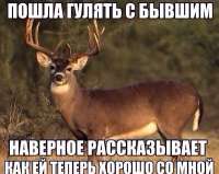 600x479
