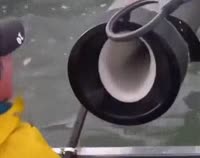 460x364