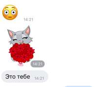 558x497