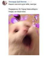 365x438
