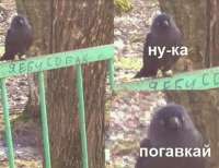 969x749