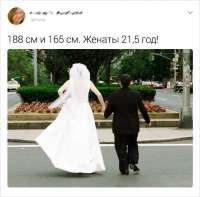 728x719