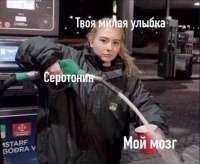 545x448