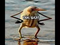 960x720