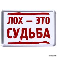 500x500